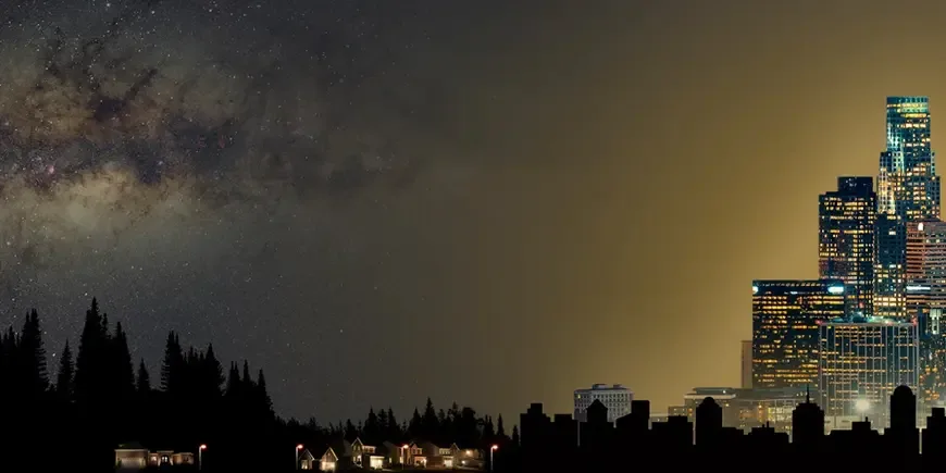 Impact de la pollution lumineuse