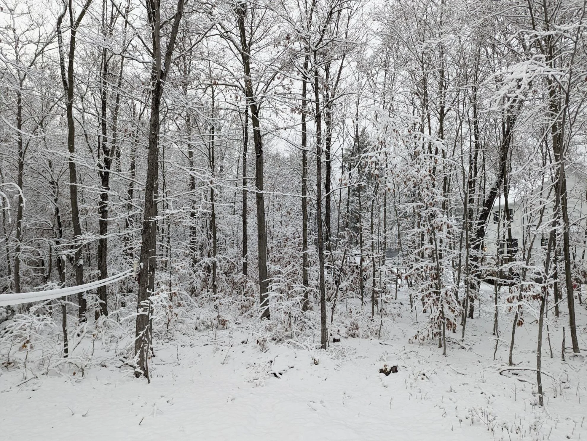 PHOTOS: First snow of the season blankets southern Quebec