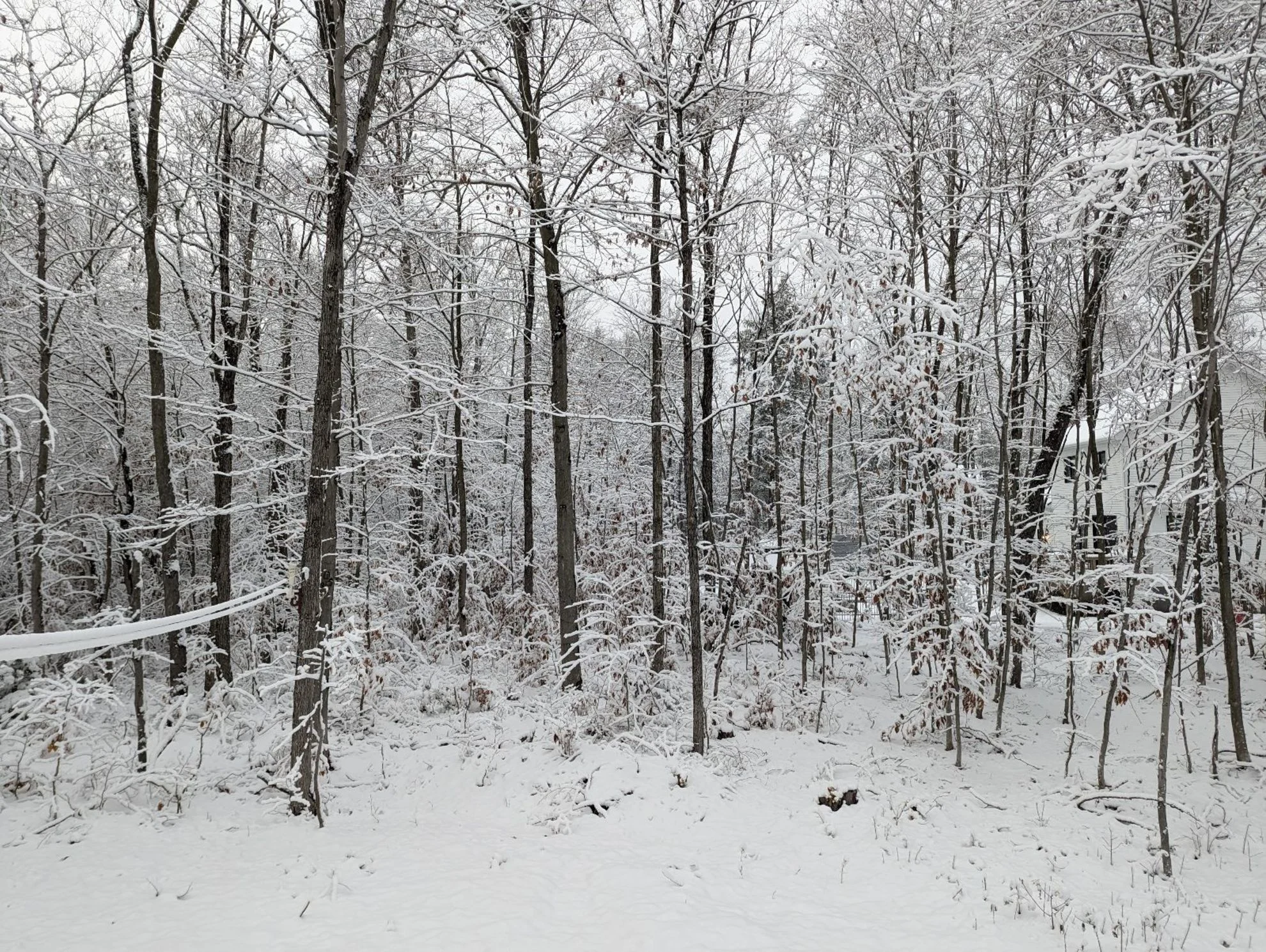 What does a snowy fall mean for winter?