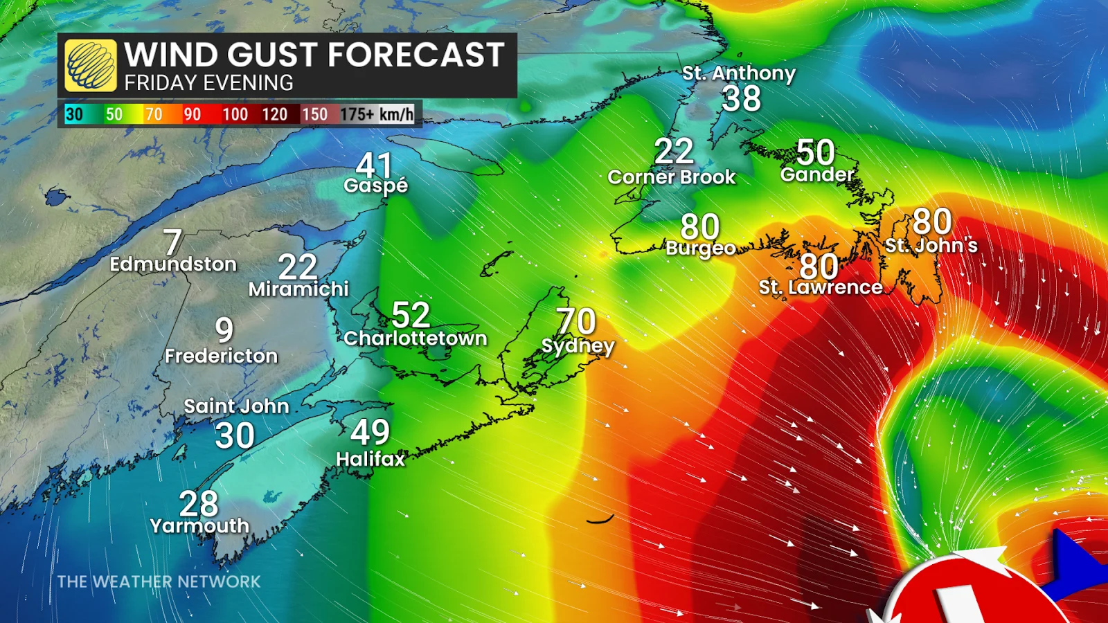 Friday, Whiteout, Blizzard, Boxing Day, Wind, Newfoundland, December 26, 2025. (The Weather Network)