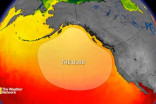 Why 'The Blob' can be a real terror for marine life
