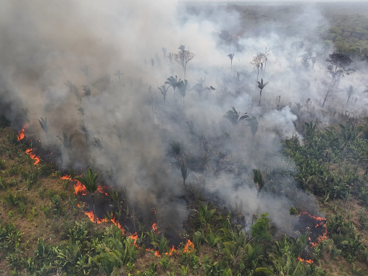 AMAZON-WILDFIRES/REUTERS/Bruno Kelly/File Photo