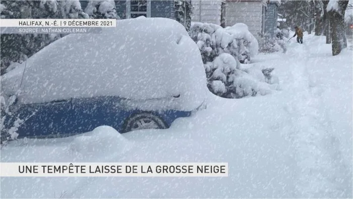 NEIGE0 (2)
