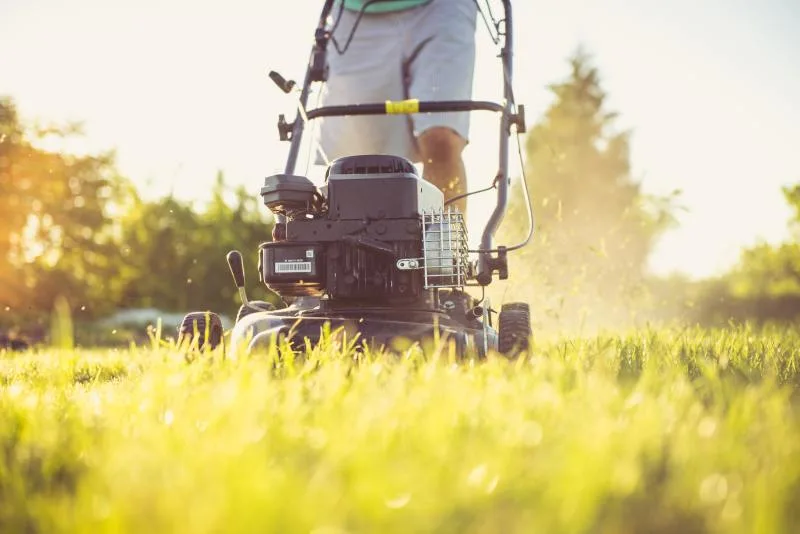 Your mid-summer guide to lawn maintenance products