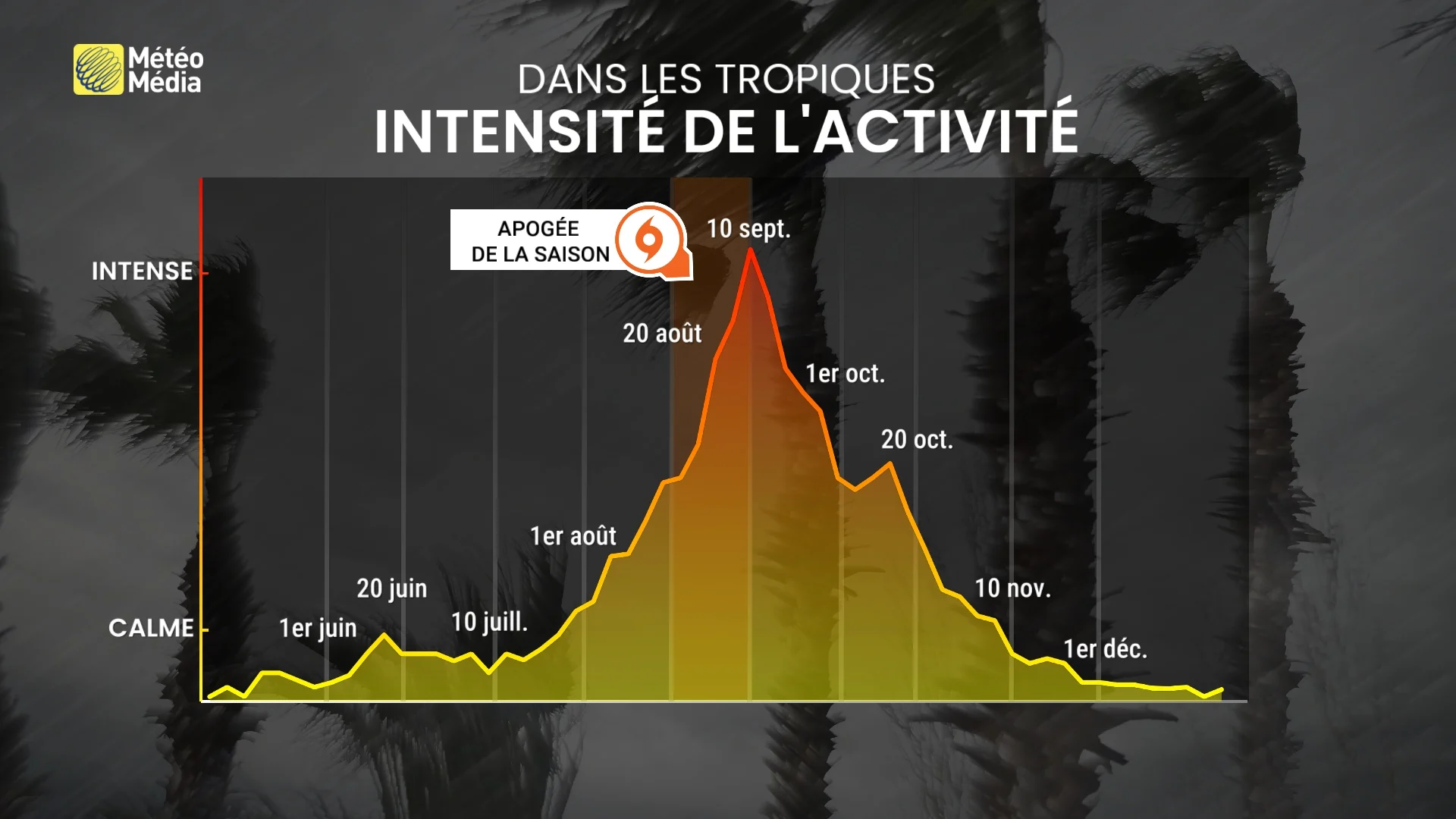 TROPIQUES5 (1)