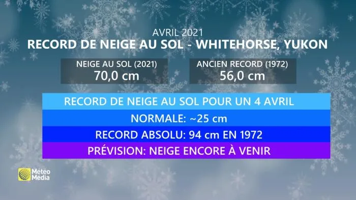 RECORD NEIGE AU SOL (1)