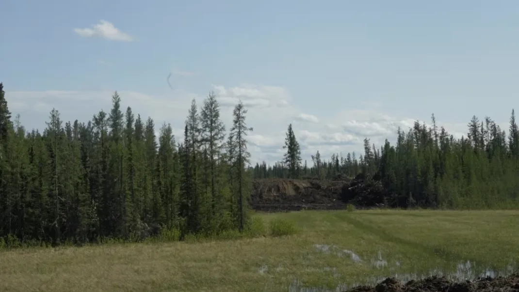 CBC: A wetland is part of the fireguard southeast of Grande Prairie. (Luke Ettinger/CBC)