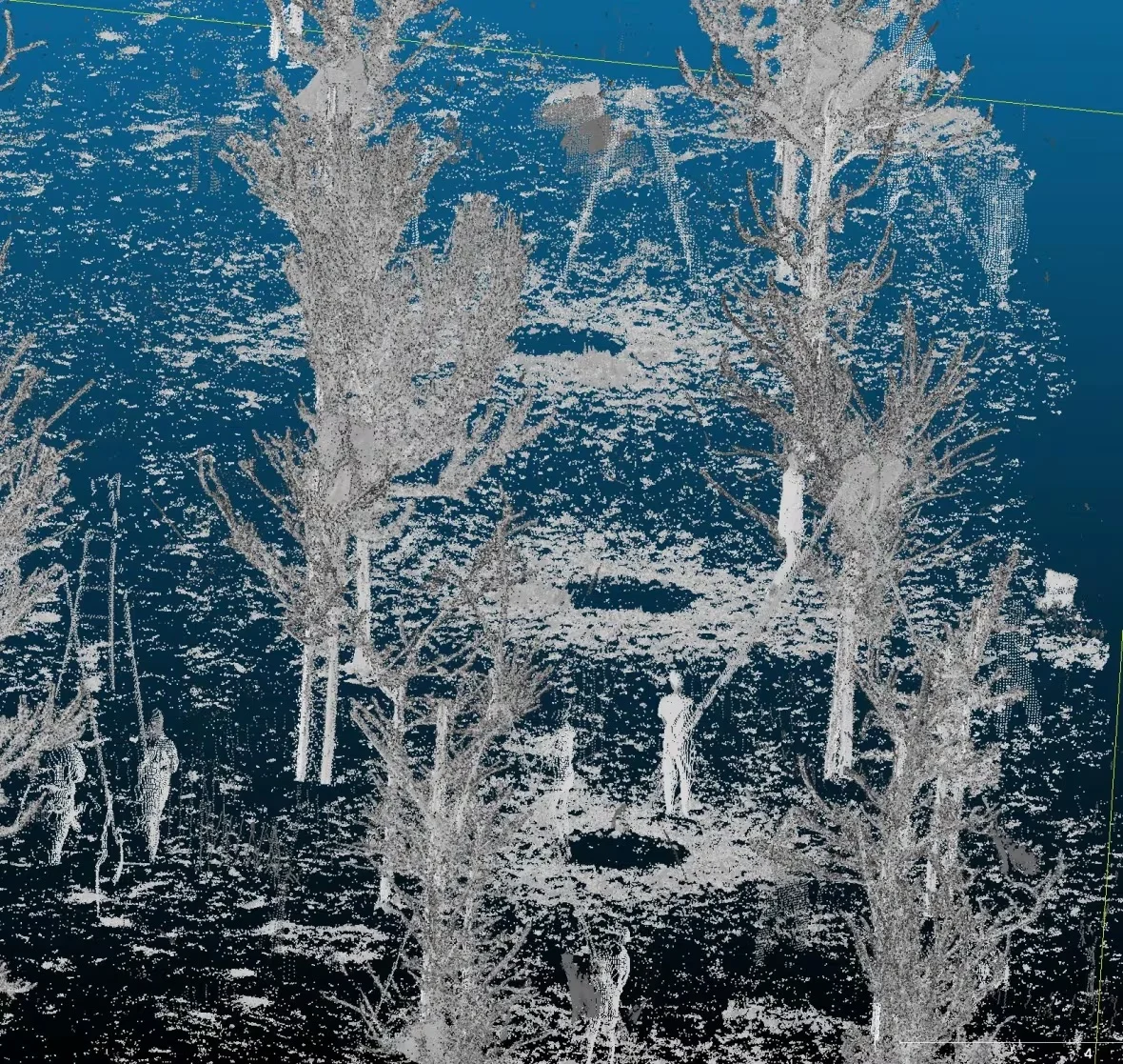 lidar-data-example/Submitted by Loïc Charlebois-Vachon via CBC News