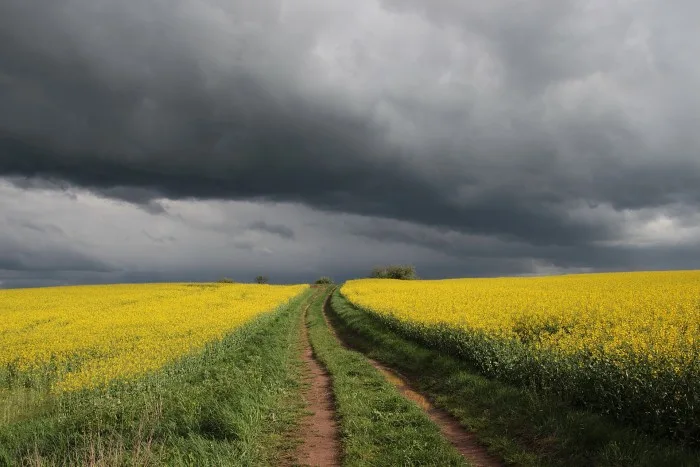 Été 2020 : une saison fertile en orages violents