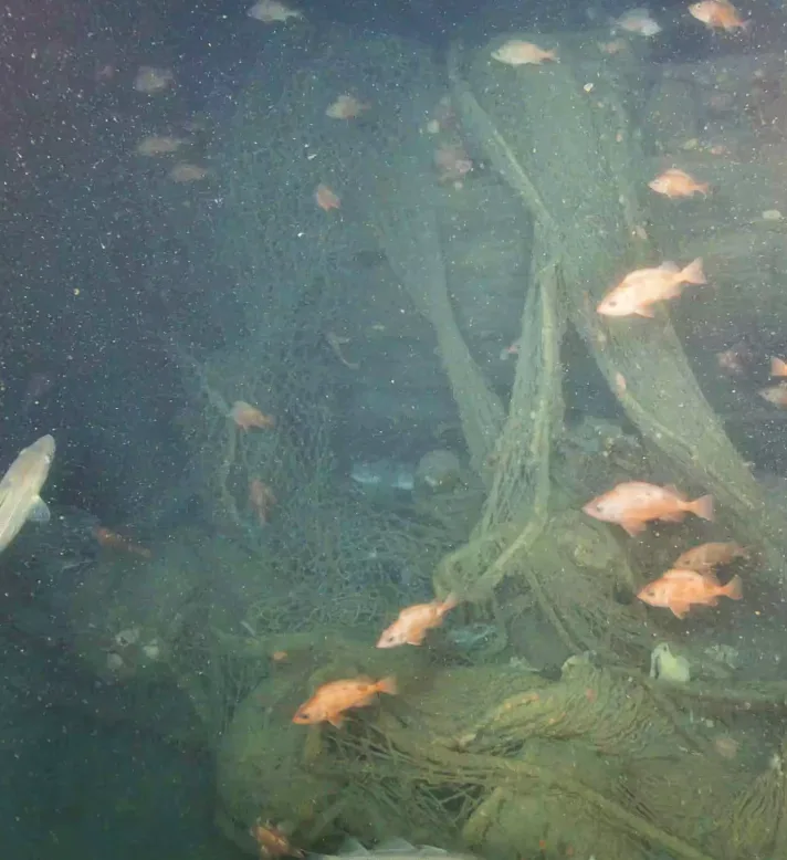 Canadian Geographic - Ship wreck in the Hawke Channel