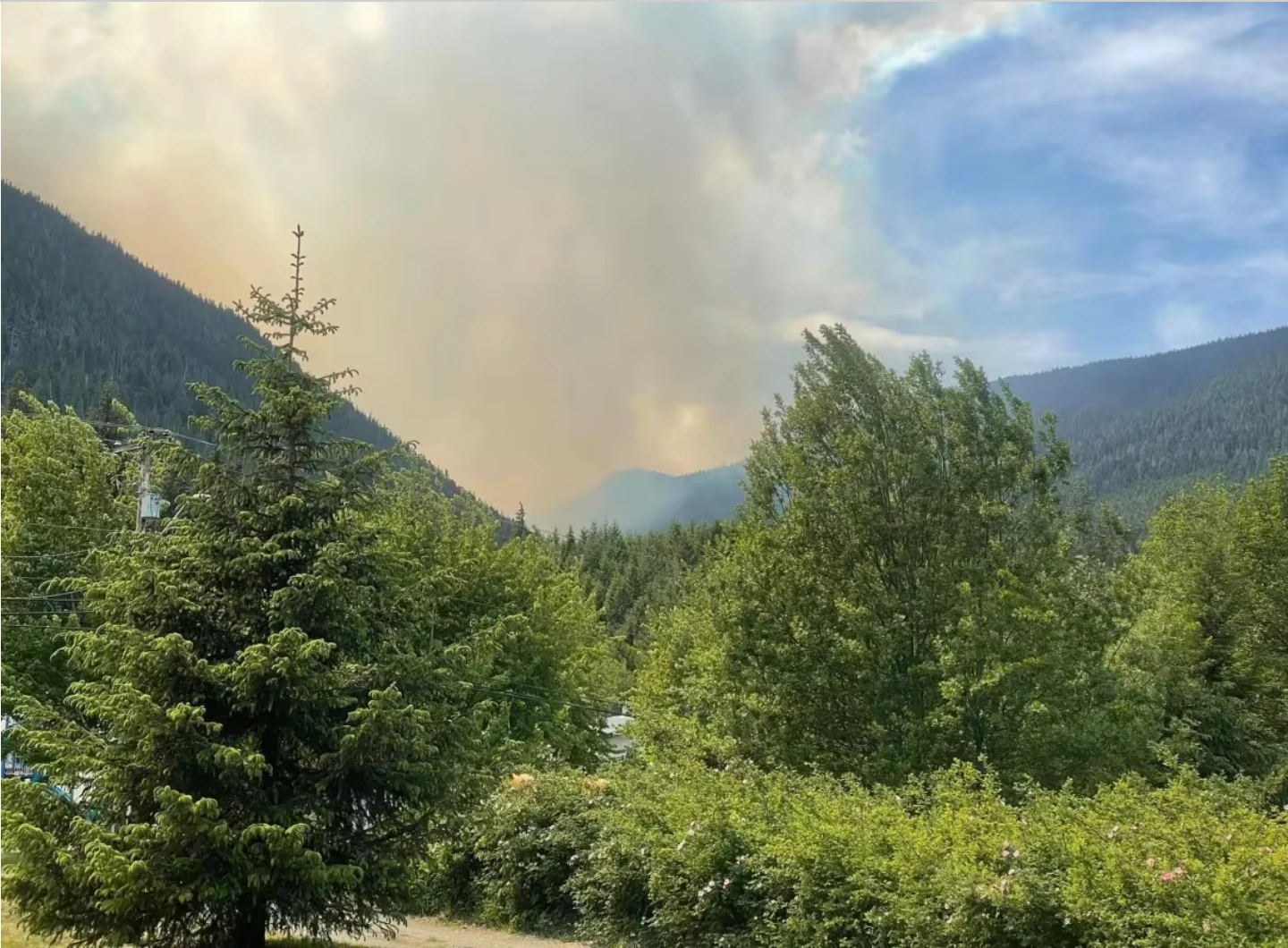 CBC: Sayward Mayor Mark Bake says the fire is visible from the village. (Joyce Ellis via CBC News)