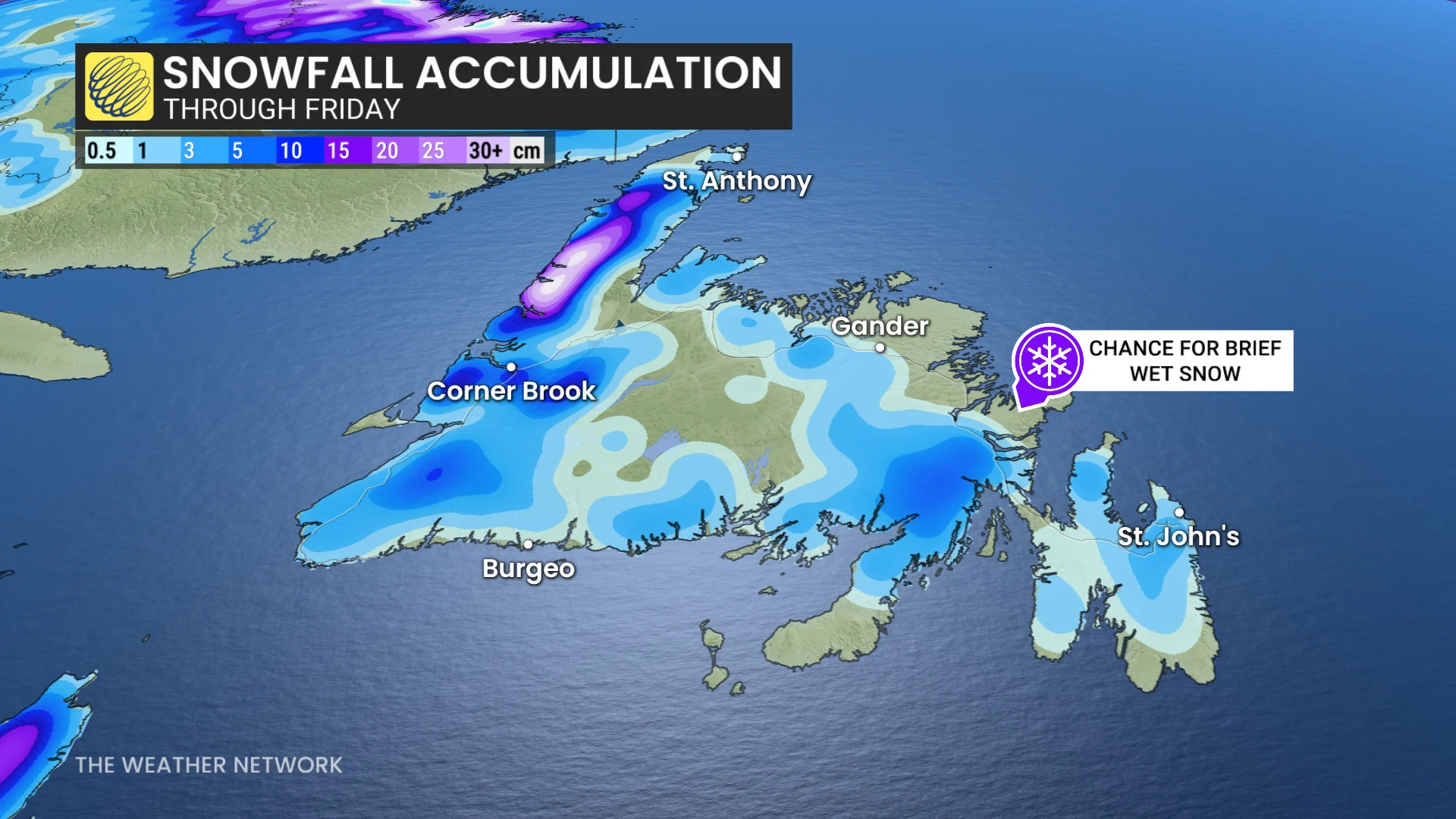 Baron - Newfoundland snow - Nov5