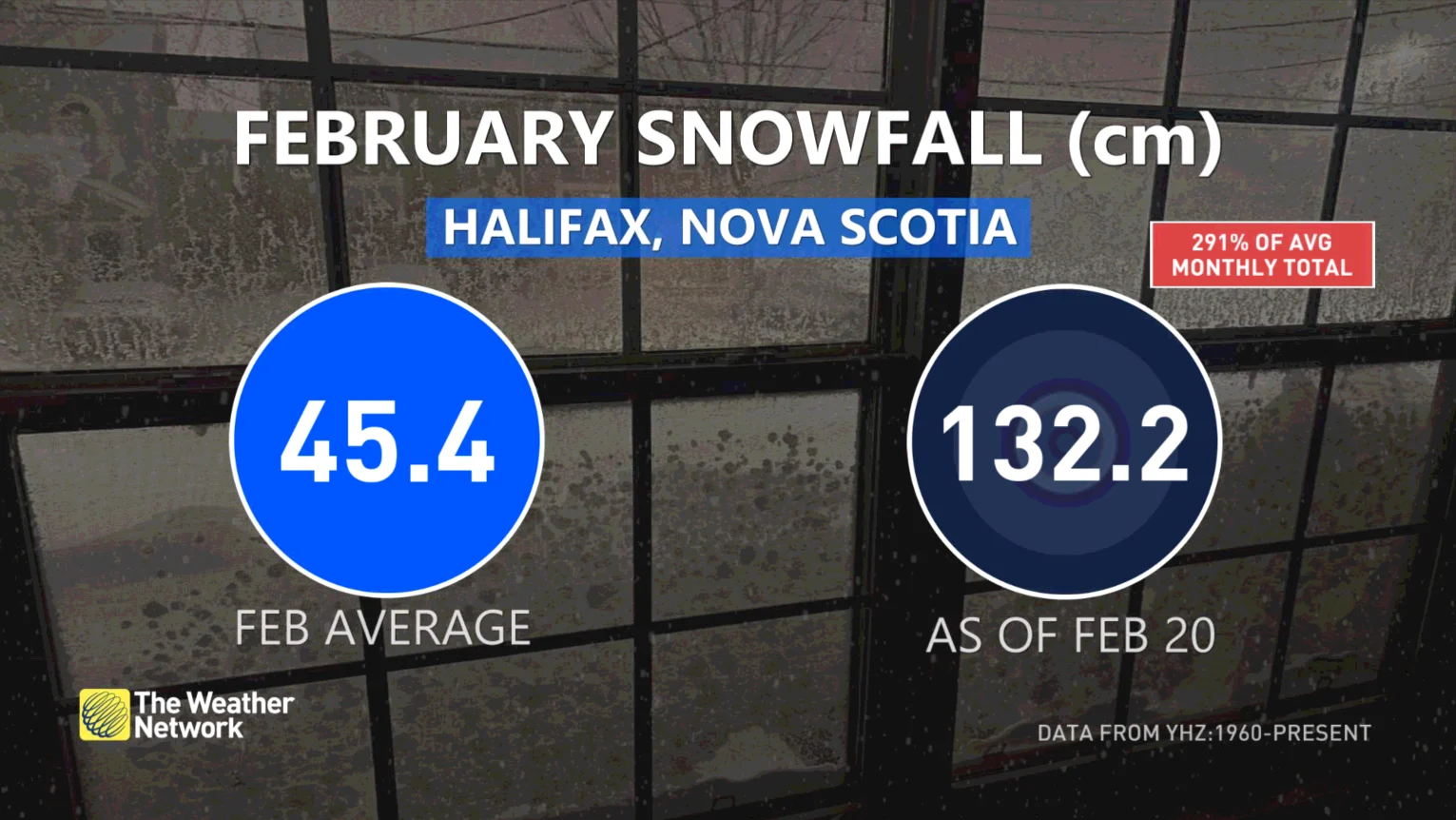 Baron - Halifax February snow.jpg