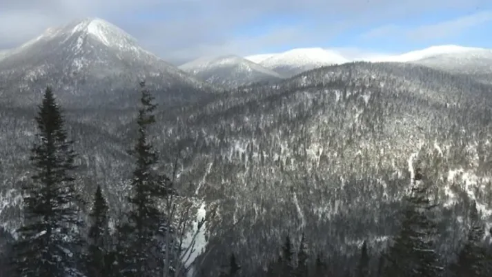 Skier dies after being trapped in avalanche in Gaspésie