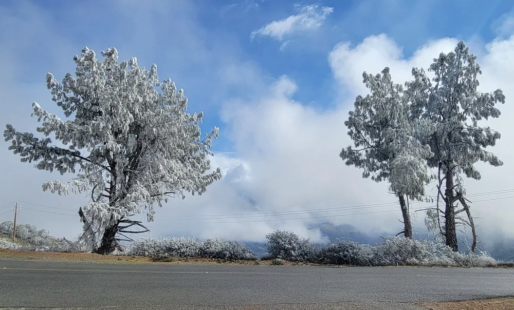 Ice falls in Hollywood as wild setup fans Calif. blizzards, historic heat