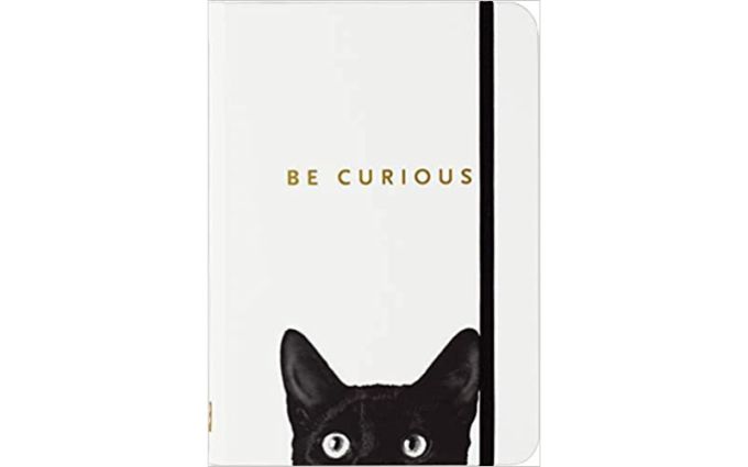 Amazon, Curious Cat Journal, CANVA, General gift list