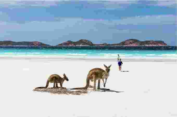 Unsplash/Creative Commons: Australia beach