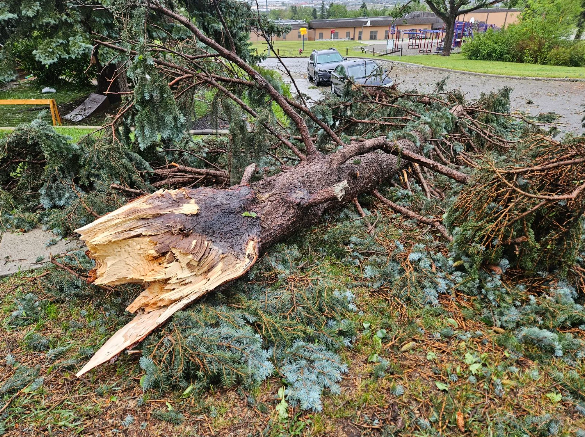 Connor O'Donovan: Damage from thunderstorm in Thorncliffe, residential neighbourhood in northwest Calgary, Alberta. (Date Shot: July 14, 2025. Storm occurred July 13)