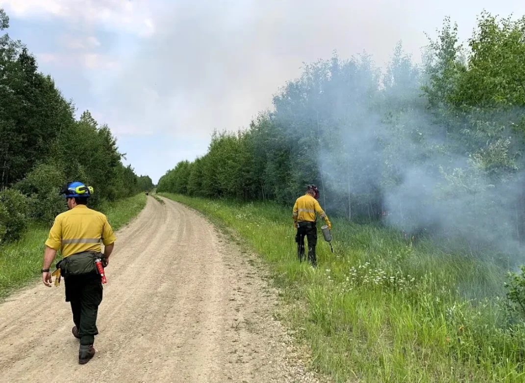 CBC: Firefighters in the Edson forest area on Wednesday evening were removing available fuel, as part of an effort to prevent a wildfire's spread into nearby vegetation. (Submitted by Alberta Wildfire)