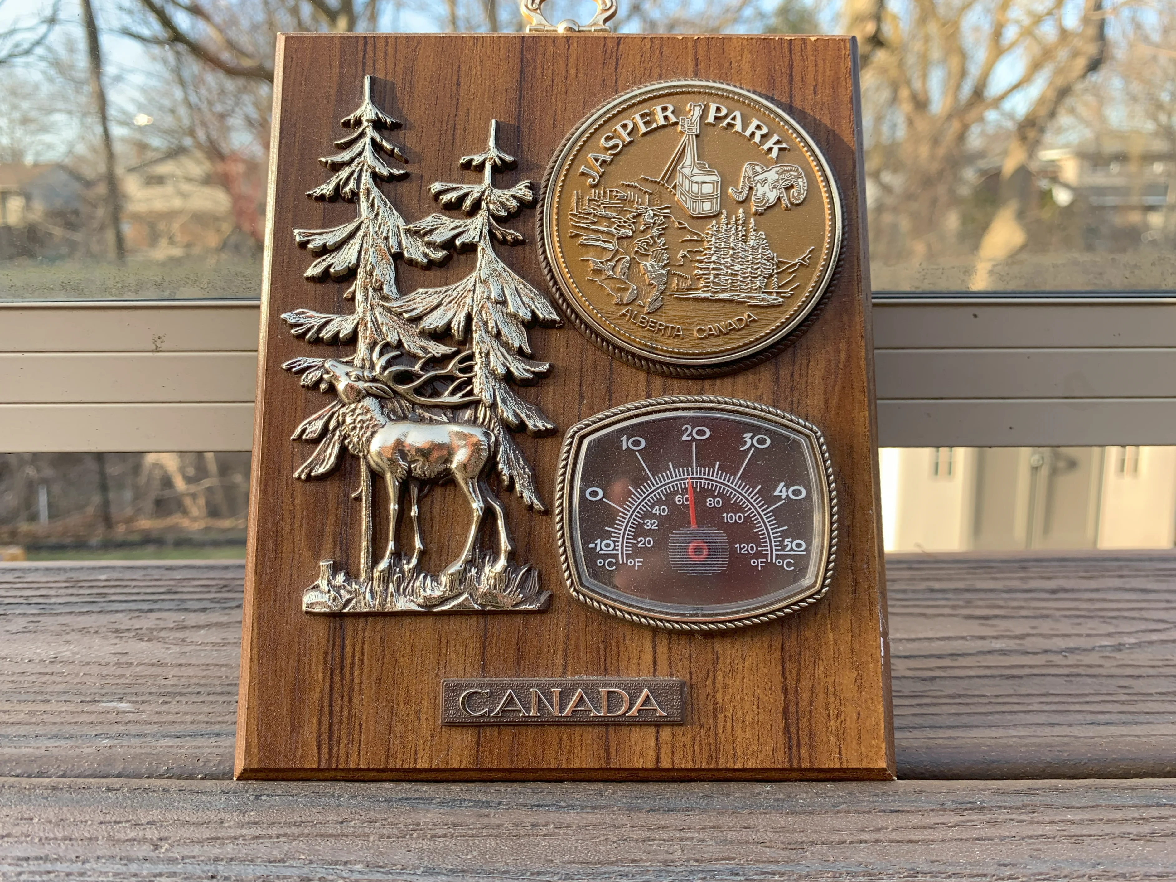 Jasper National Park thermometer from 1991 (Anika Beaudry)