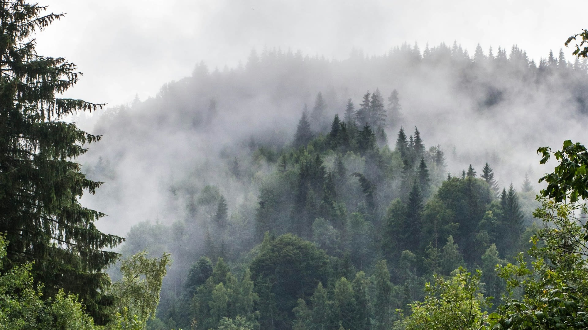 Drenching rains slide into B.C. as atmospheric river arrives - The ...
