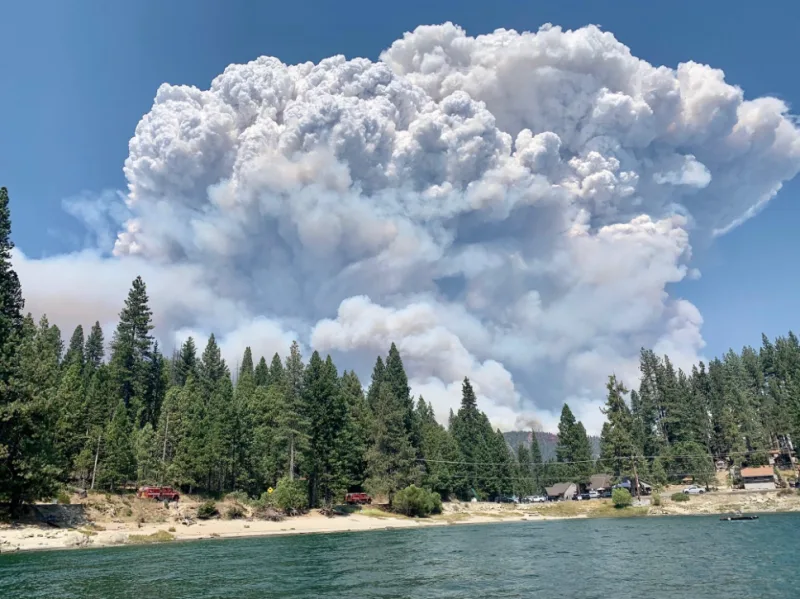 Campers trapped in national forest by 'hellish' California wildfire