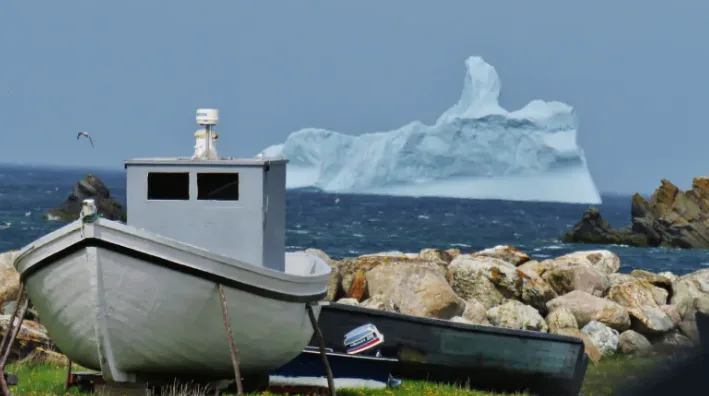 NL's beautiful icebergs are a 'bad sign', officials say