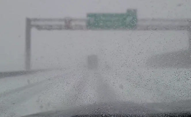 'Snow snake' hits major Ontario highway hard Wednesday morning