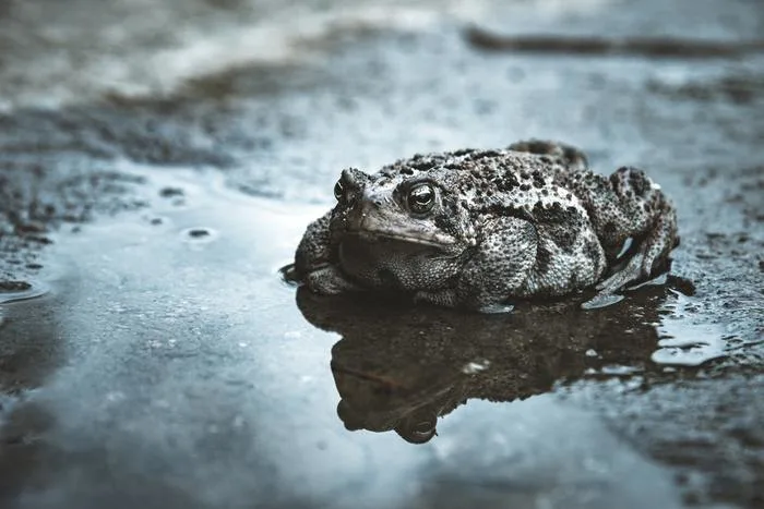 Avril sous l'eau : deux fois plus de pluie que la normale