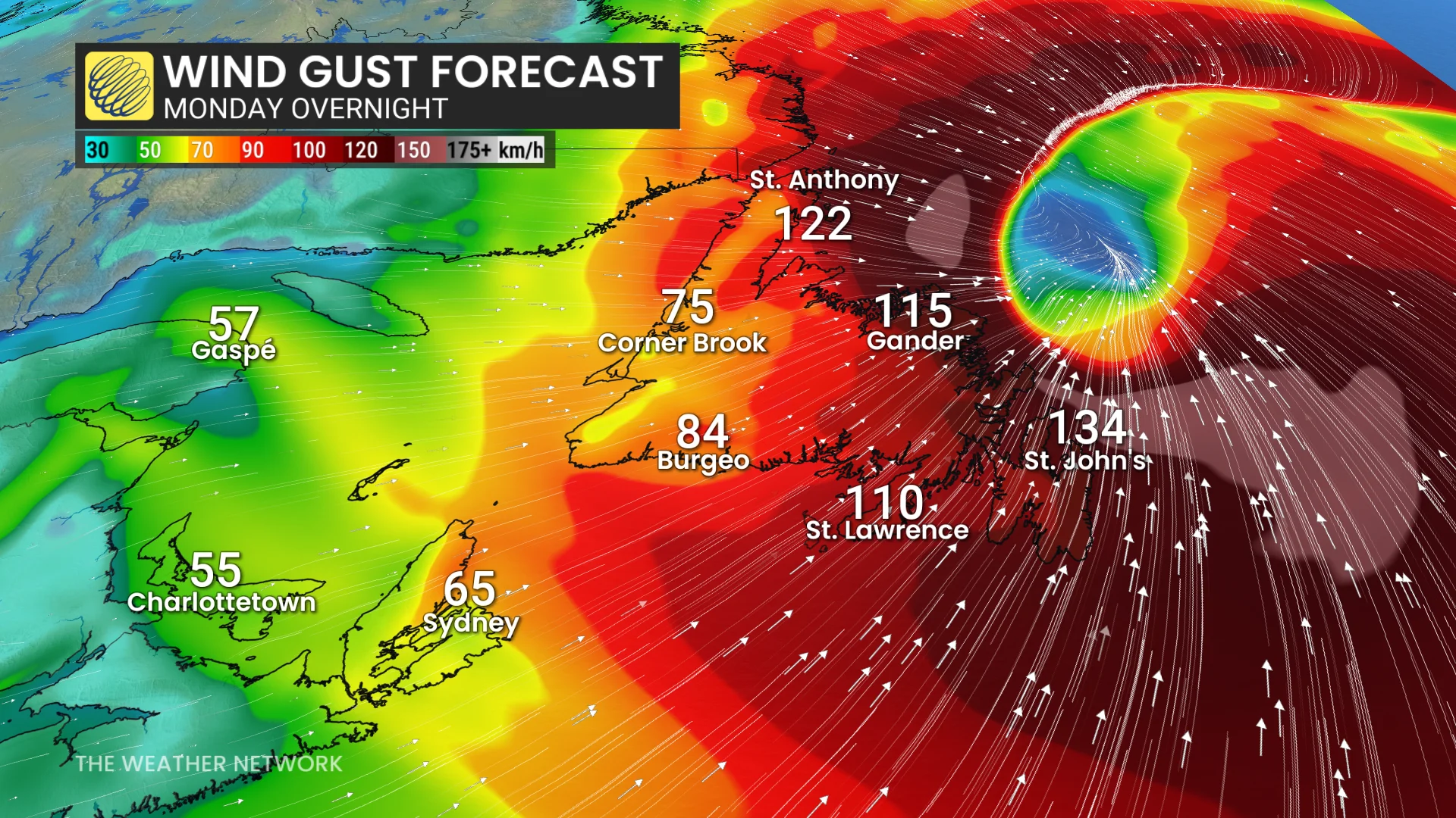 Newfoundland wind gusts Monday overnight