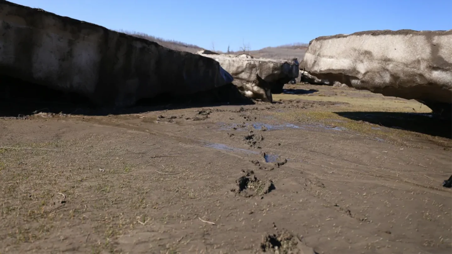 CBC: River silt sits on parts of the golf course. (Jamie Malbeuf/CBC)