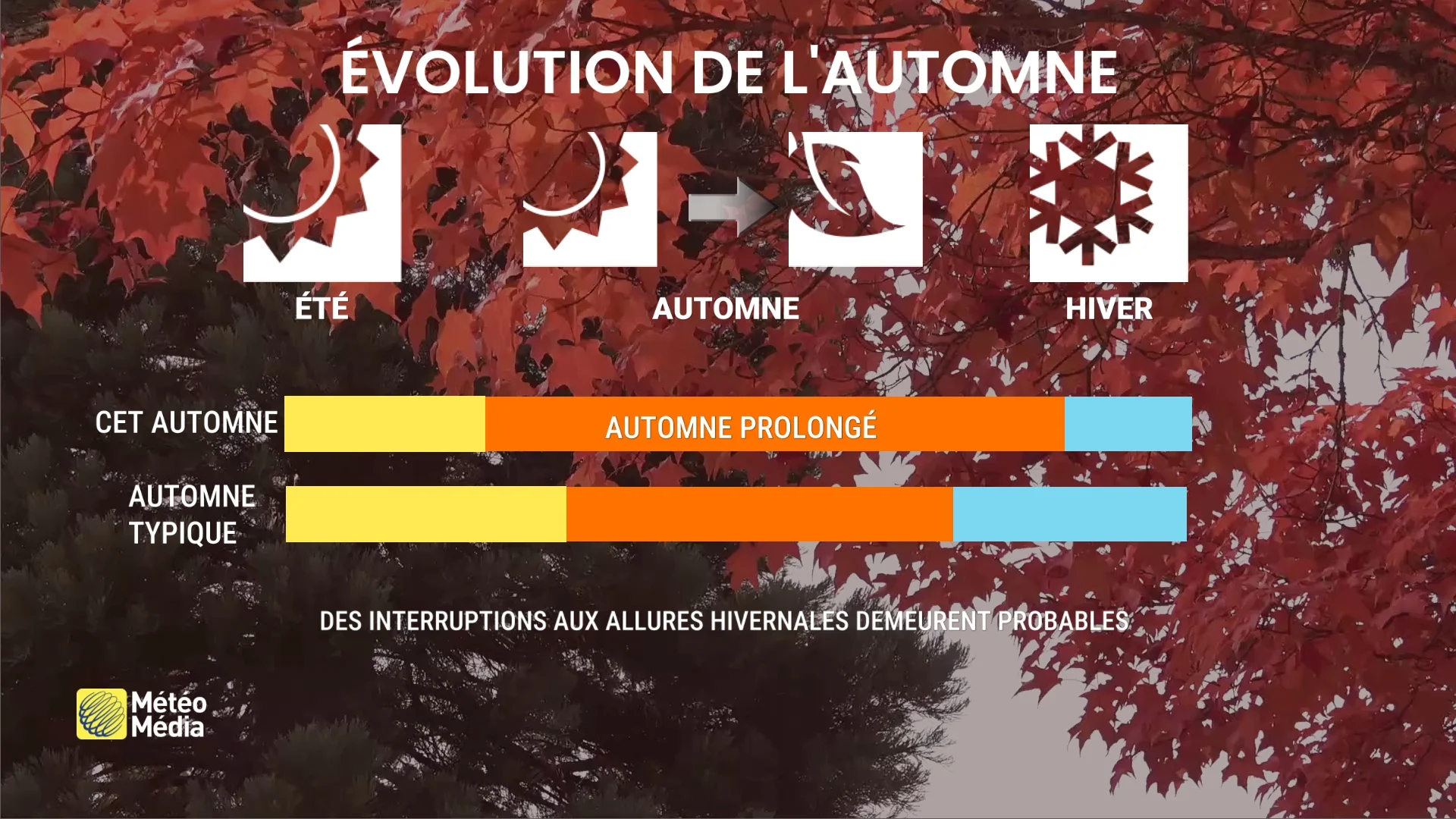AUTOMNE4