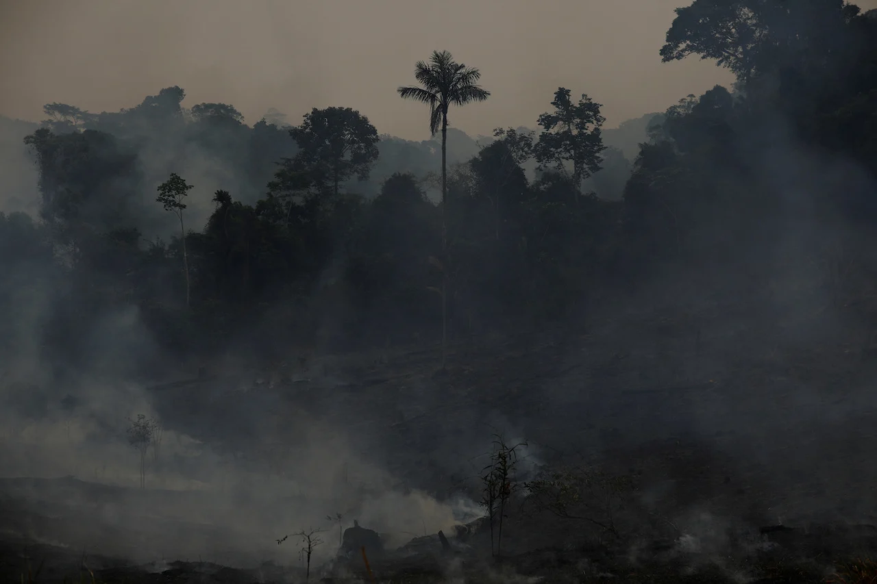 AMAZON WILDFIRES/REUTERS/Adriano Machado/File Photo