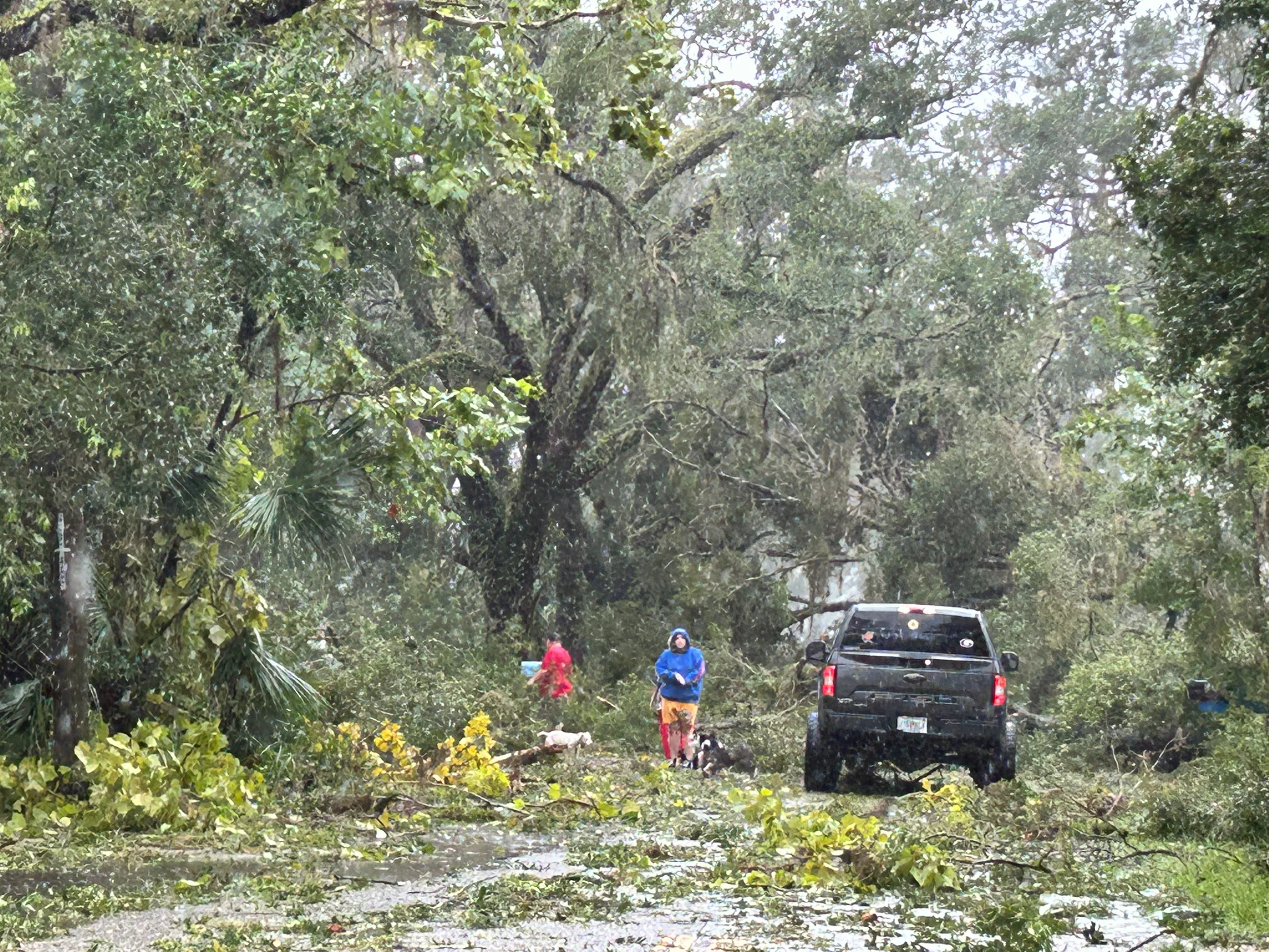 Hurricane Idalia impacts (Mark Robinson)