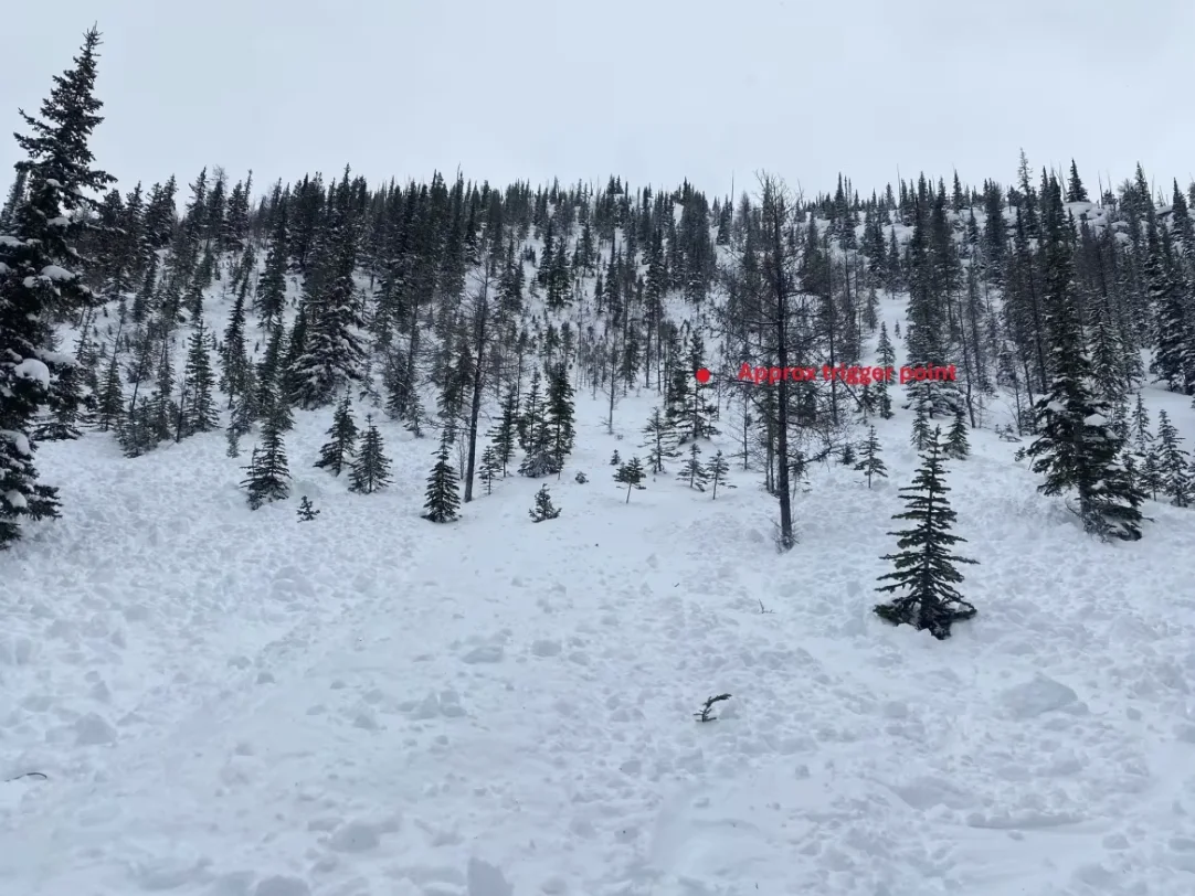 CBC: Parks Canada reported one of the skiers triggered the avalanche. The region is currently at a high risk for avalanche. (Parks Canada)