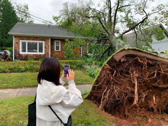 Many people emerged from their homes on Saturday to survey the damage. (Shane Ross/CBC)