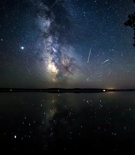 perseids