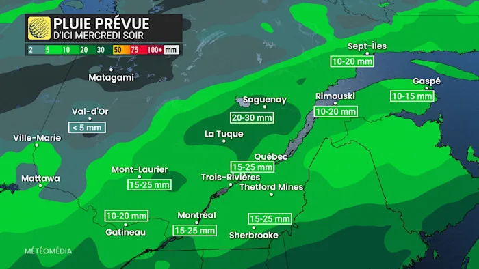 PLUIE 3