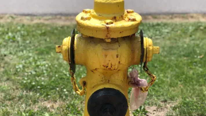 CBC - fire hydrant