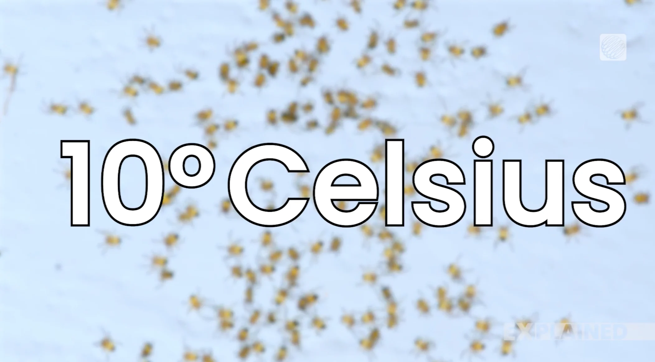 TWN GRAPHIC: 10 degrees is when bugs start to emerge