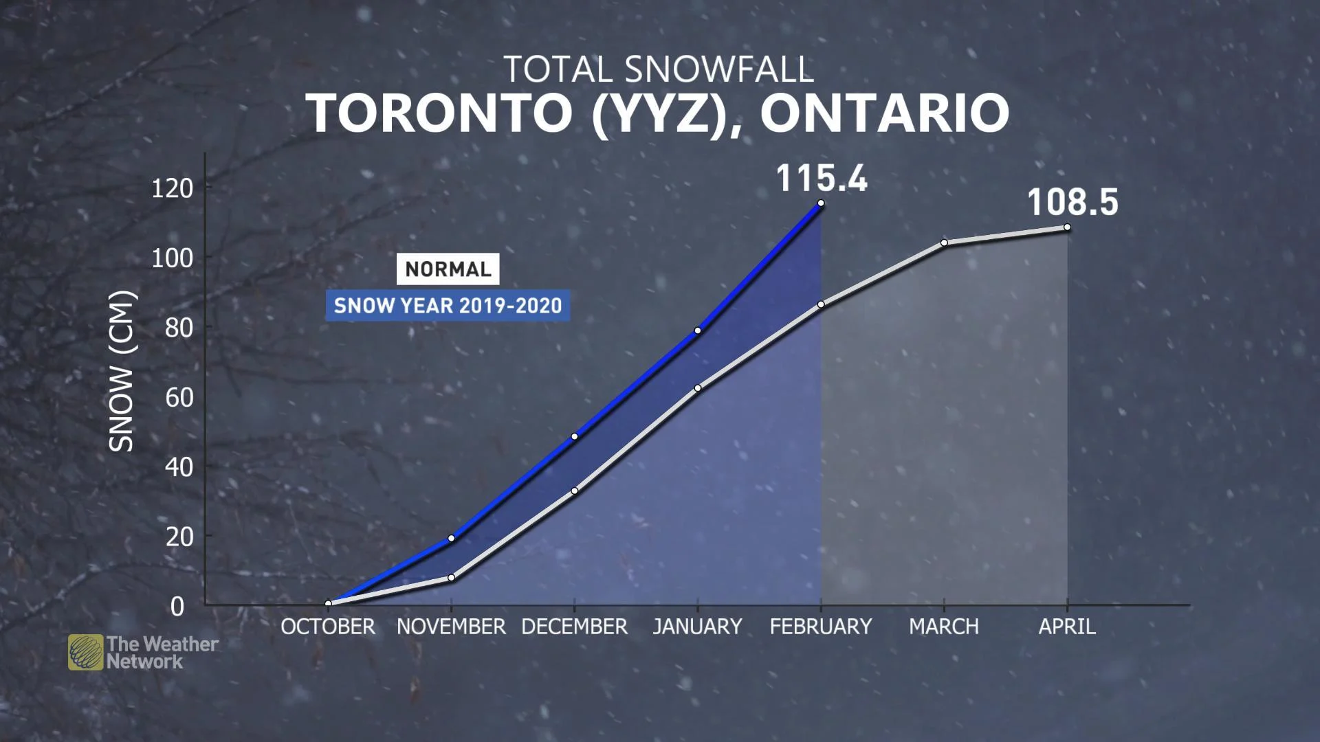 Toronto Snowfall Winter (1)