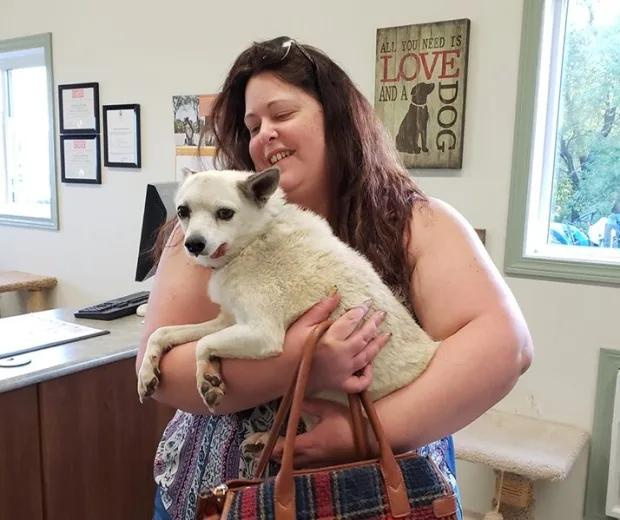 Dog lost in U.S. snowstorm two years ago found in Manitoba, reunites with family