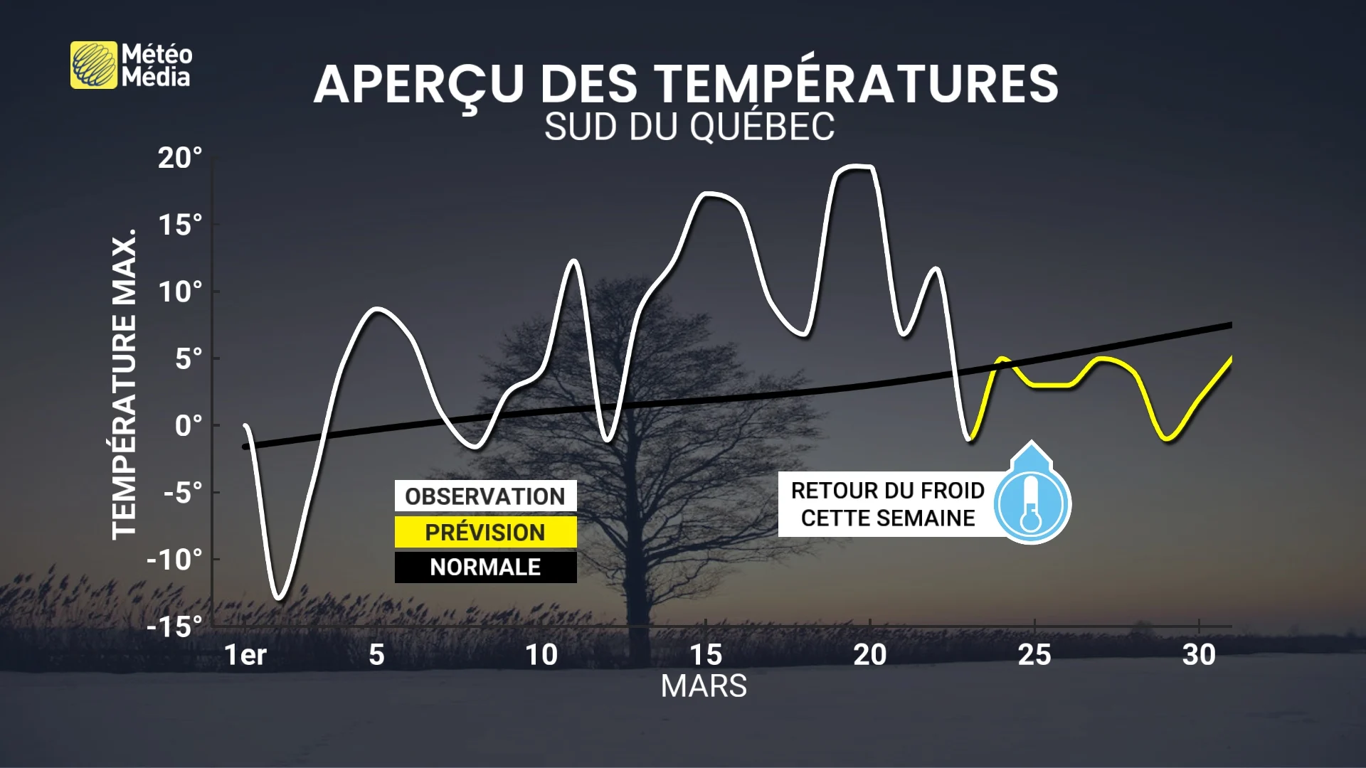 SEMAINE 4