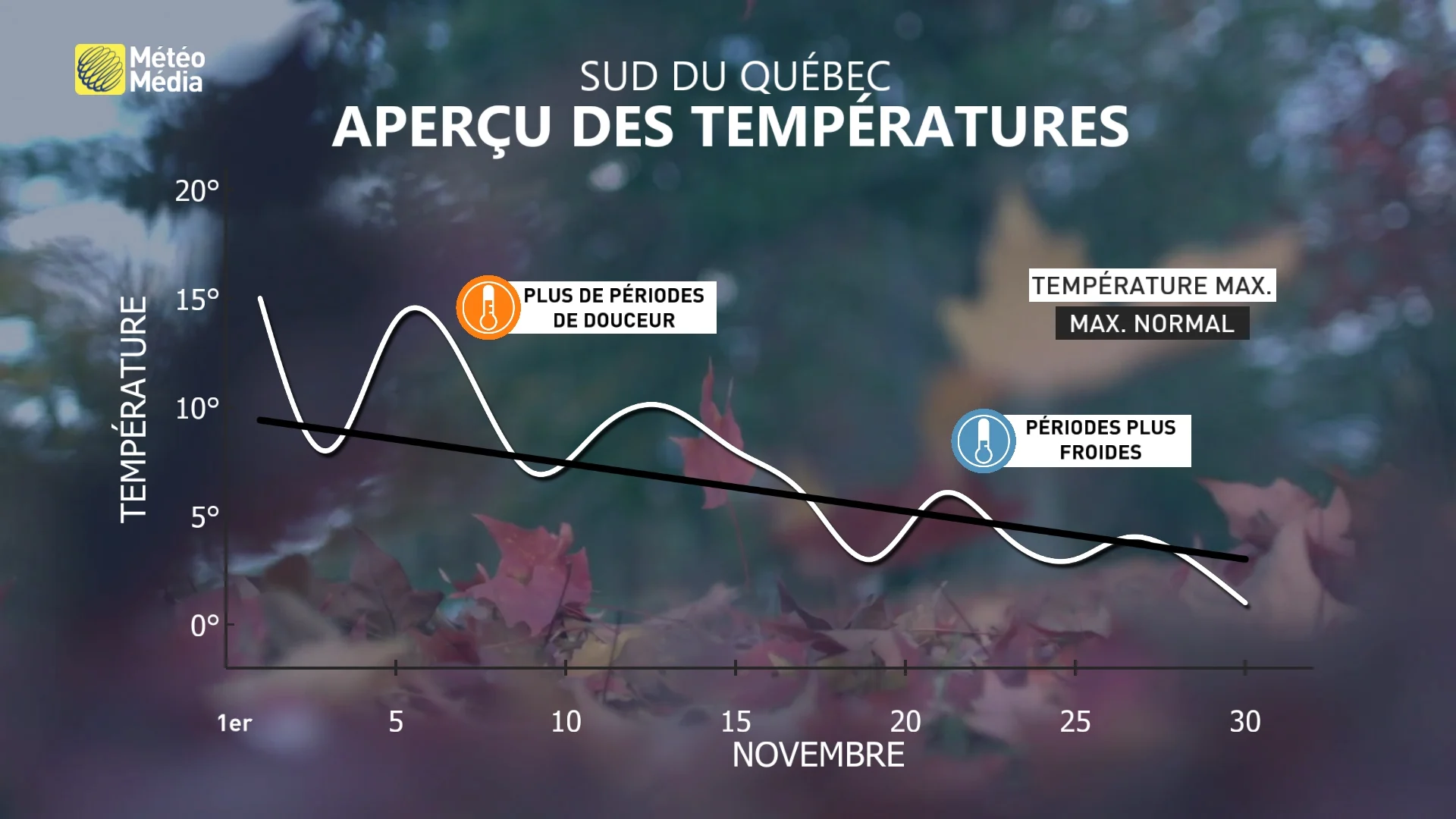 NOV TEMP1 (1)