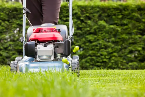 Getty Images: Mowing lawn, cutting grass. Credit: stoncelli Creative #: 166736424. Link: https://www.gettyimages.ca/detail/photo/mowing-the-grass-royalty-free-image/166736424?adppopup=true