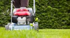 Fall is a critical time for lawn care, here's what you need to know