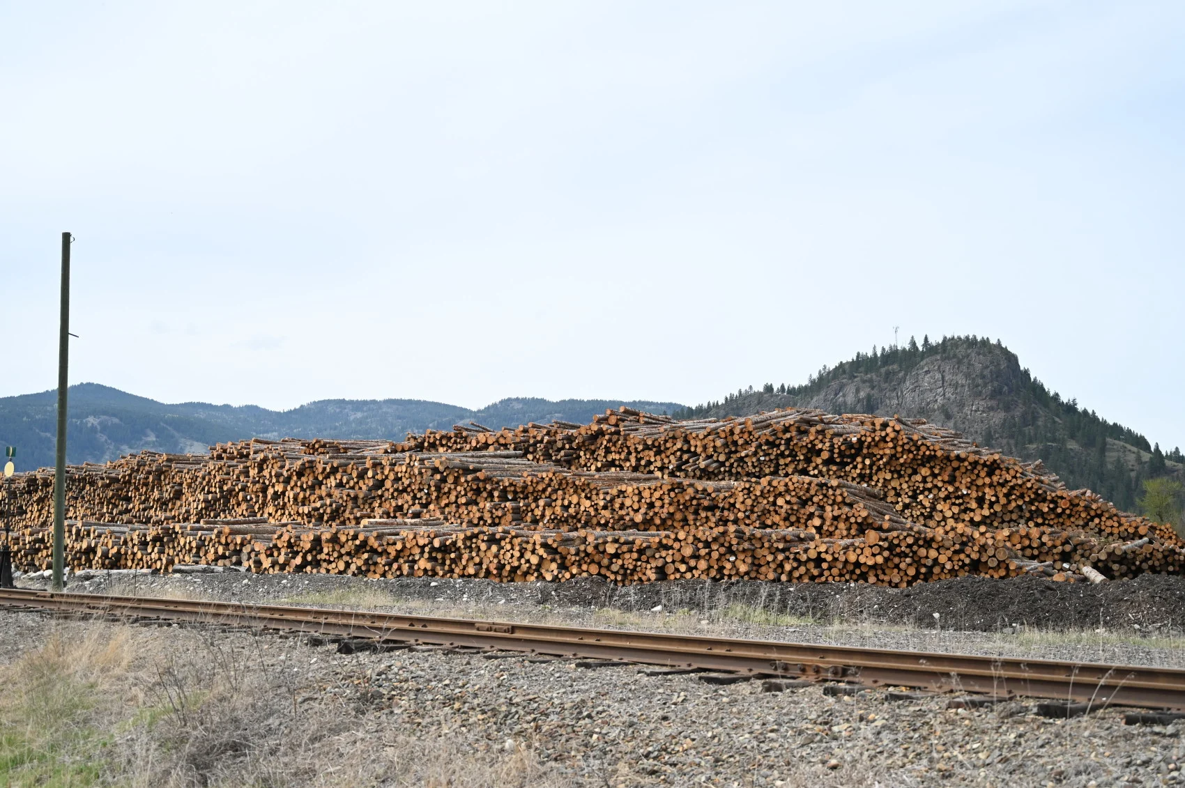 Stacked logs at a saw mill in Grand Forks, B.C. (Mia Gordon)