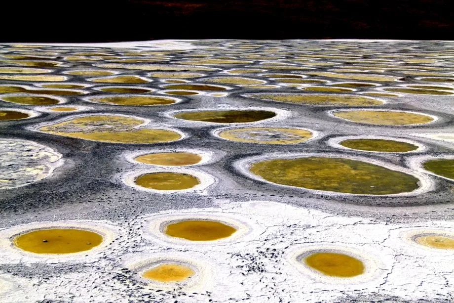 Spotted Lake Dan Lybarger