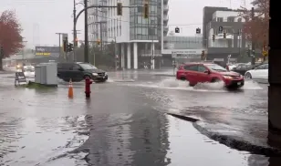 Inondations en Colombie-Britannique : des saumons dans la rue