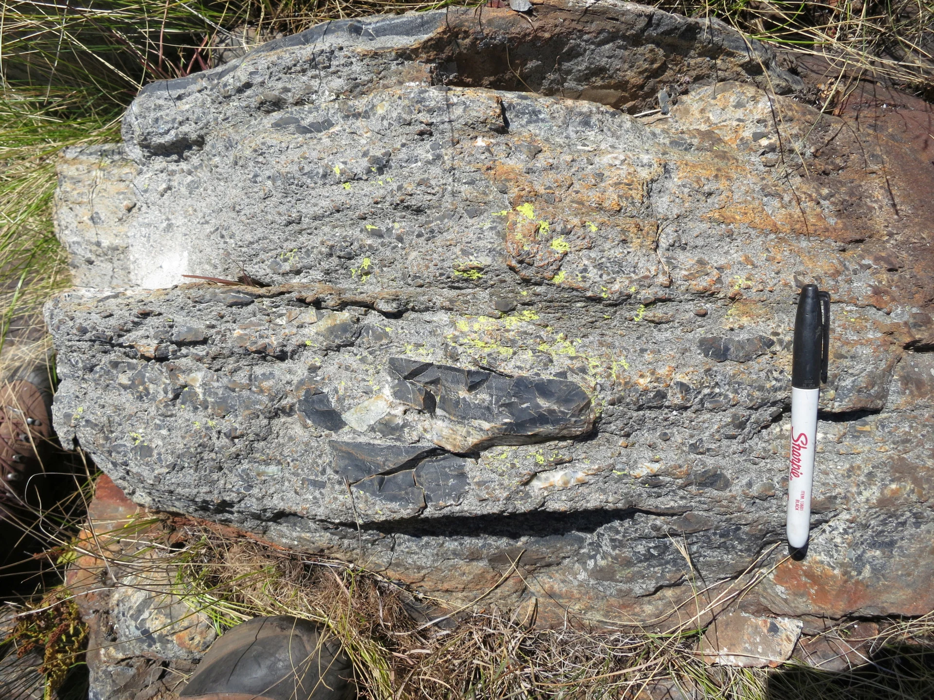 REUTERS: A bed of rock showing chunks of ripped up seafloor as debris from a tsunami that followed a huge meteorite impact on Earth dating back to about 3.26 billion years ago, seen in a region called the Barberton Greenstone Belt in northeastern South Africa in this undated photograph. Nadja Drabon/Handout via REUTERS